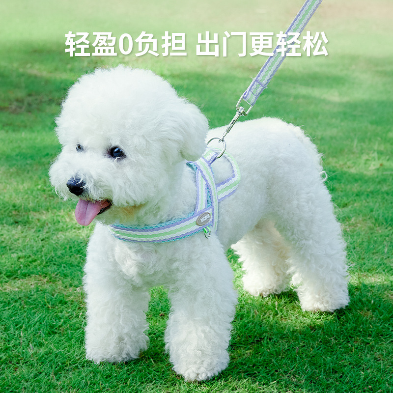 Fresco de verano perro transpirable corda de tracción ajustable perro pequeño y mediano Teddy Bear Corky explosión pecho y espalda