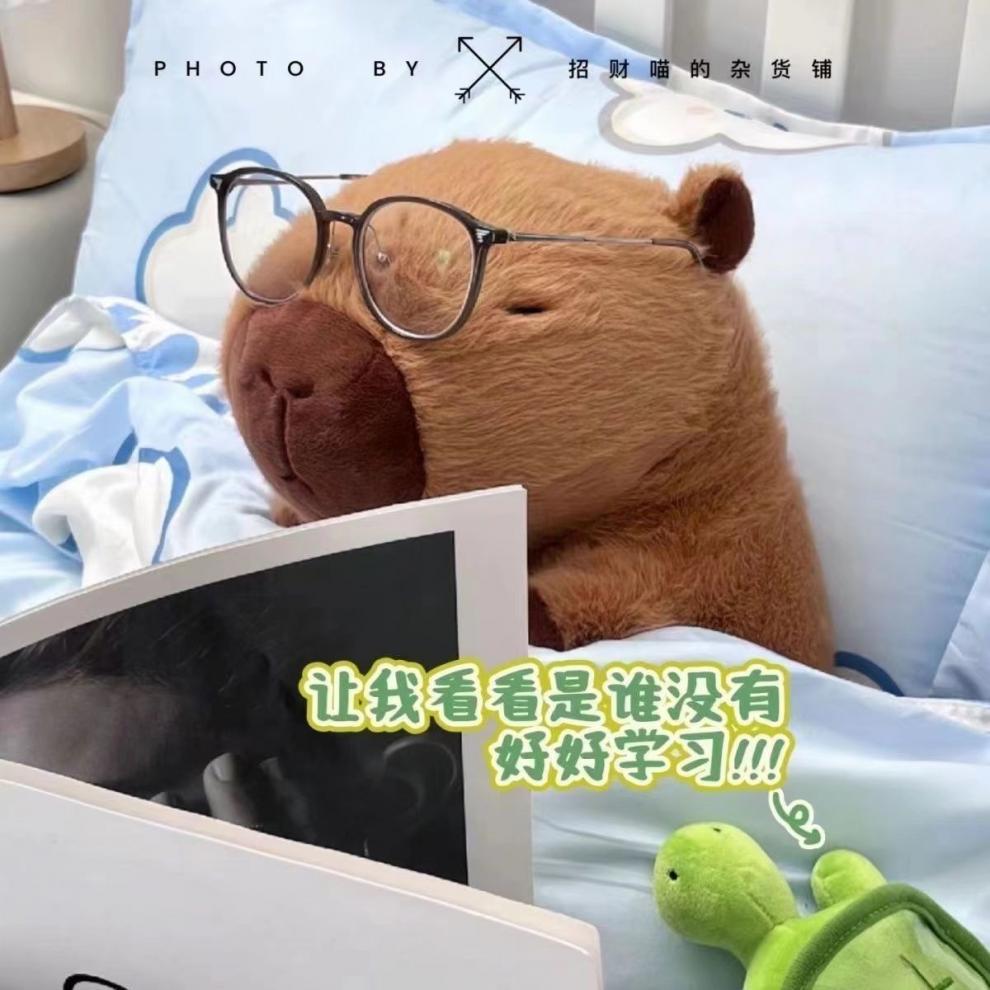 89528a2d-425c-442c-9188-069dc56090bf.jpe