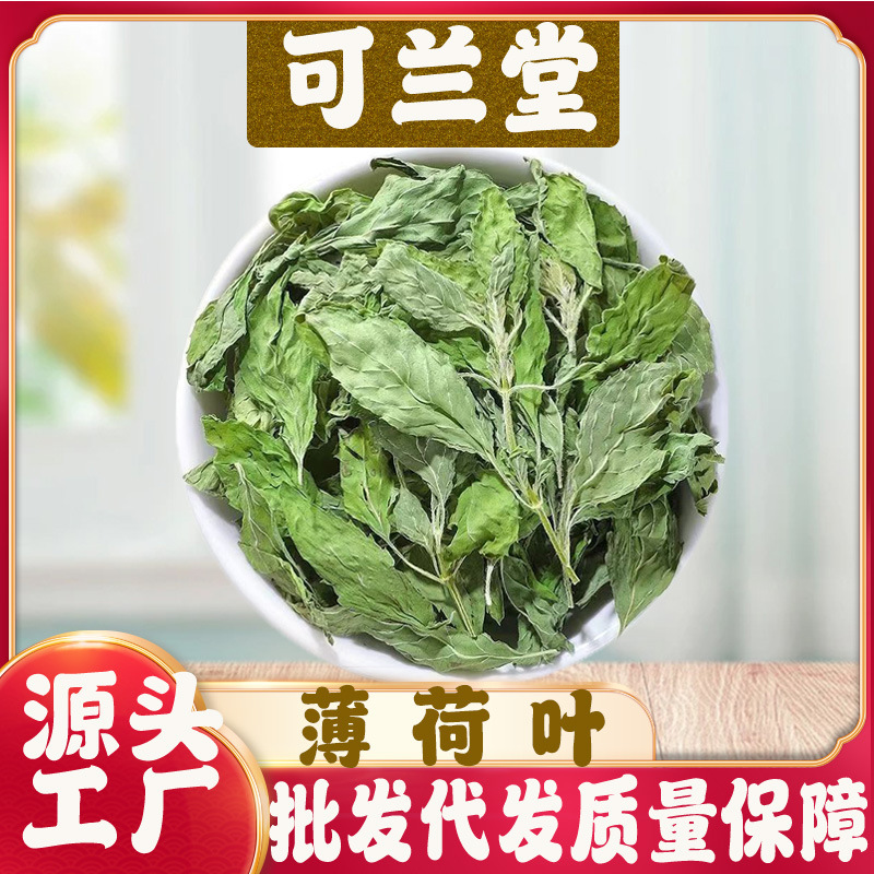 Chinese Medicinal Herb Mint Leaves, Dried Mint Leaves, Mint Leaf Tea, Fresh Mint for Brewing, Mint Leaves for Cocktails, Mint Leaves for Brewing Tea, Herbal Medicine Chinese Medicinal Herb Mint Leaves, Dried Mint Leaves, Mint Leaf Tea, Fresh Mint for Brewing, Mint Leaves for Cocktails, Mint Leaves for Brewing Tea, Herbal Medicine