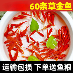�^�p�~���~С�͵�ˮ�ͻ���ˮ���B���~�w���B�J������~�t�a�~��