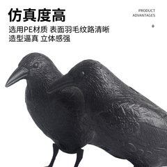 仿真烏鴉 弓箭打獵誘餌擺件園林裝飾嚇鳥器模型 戶外射箭器材配件