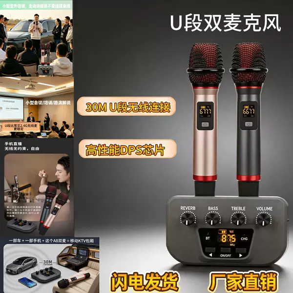 A8 Hot-Selling Karaoke Device Multi-Purpose Home Audio System with Dual U-Band Microphones (Chinese Version)