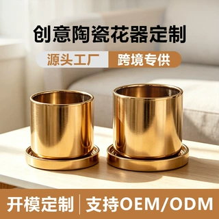 定制电镀金色银色蝴蝶兰花盆陶瓷家用客厅绿植多肉盆中东跨境外贸