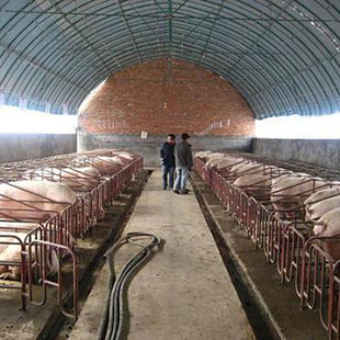 ���Ҵ���Ǽ�䓹��Bֳ�Nֲ����ȫ���i�u��䓼��B����������߲���