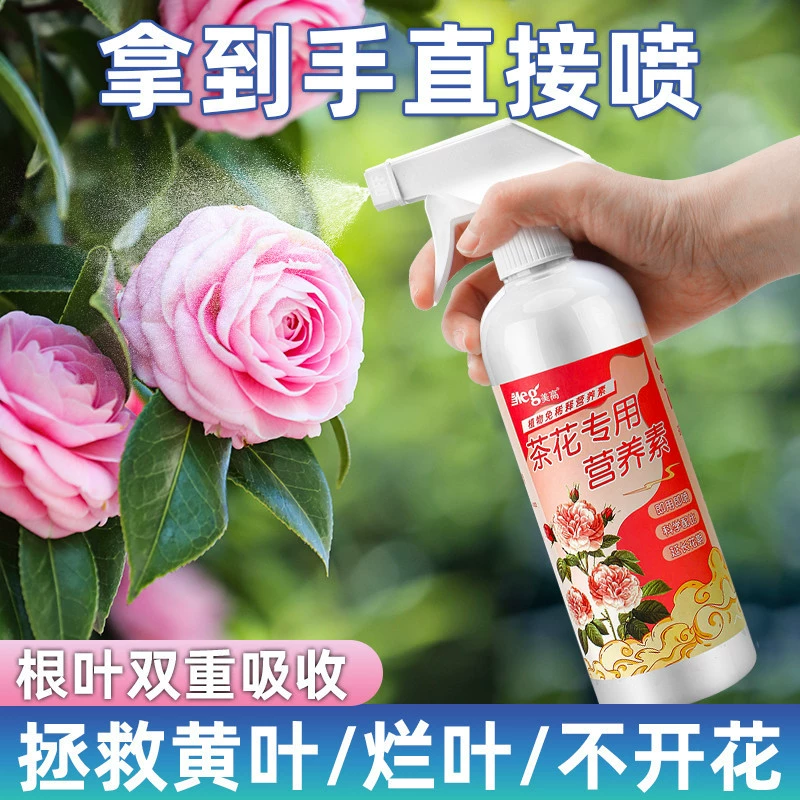 Камелия удобрение Специальное удобрение Камелия питательный раствор Цветущий раствор Жасминовая гардения Рододендрон кислый