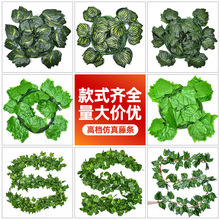 �����ٗl�G�}�����~���~�G�~�Gֲ�����bܵ����������p�@�ٗl