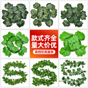 �����ٗl�G�}�����~���~�G�~�Gֲ�����bܵ����������p�@�ٗl