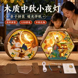 拼插类玩具;灯笼;景泰蓝