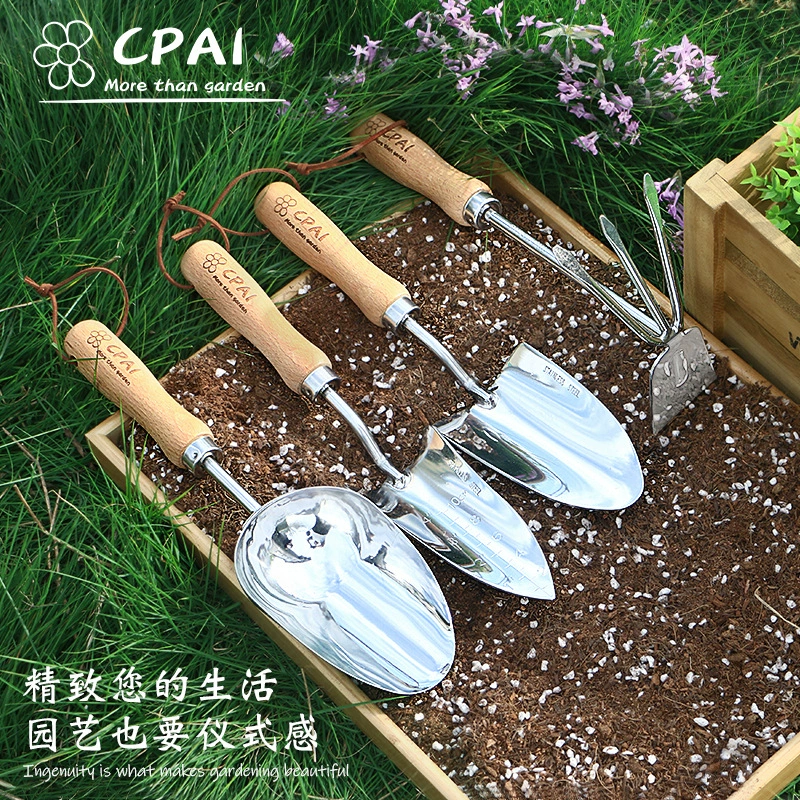 Домашние цветы ловят море