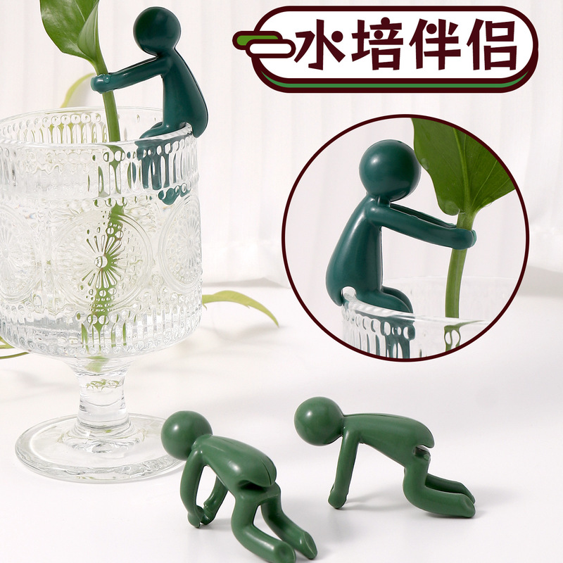 水培植物固定器植物生长伴侣水培器皿植物支撑架桌面装饰固定器|undefined