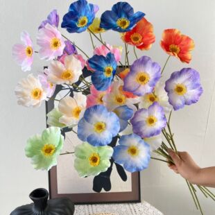 �羳���N���˻����^̫ꖻ���Y����ܛ�b�����҃��bٻ��廨