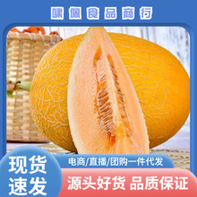 ���������S���۹����rˮ������ˮ�����ܹϷǺ��ϻ���ɽ3�����l