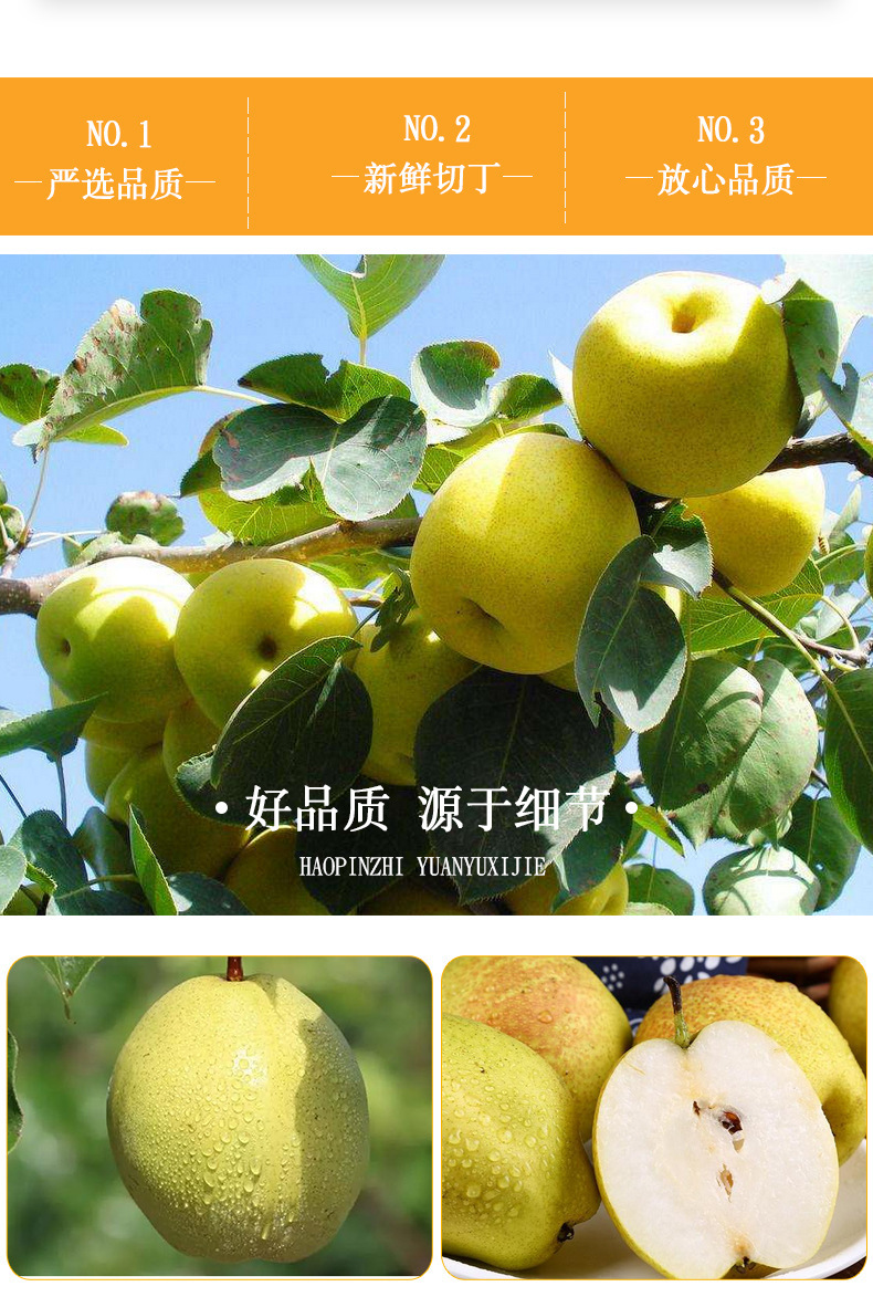 Freeze-Dried Snow Pear Dices Xue Li Ding 50g Bottle Dried Pear Snack for Tea and Culinary Use quality and texture