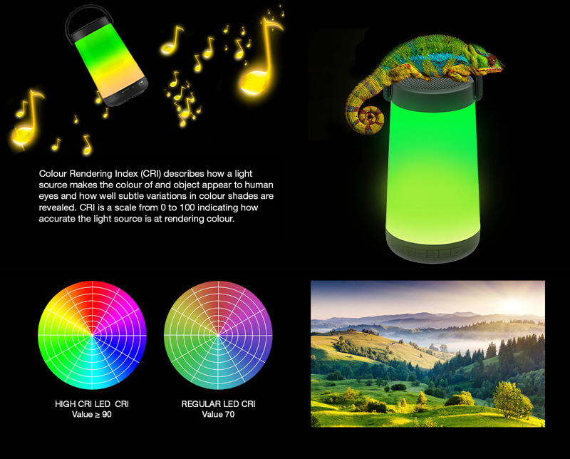 10189414669_16198329