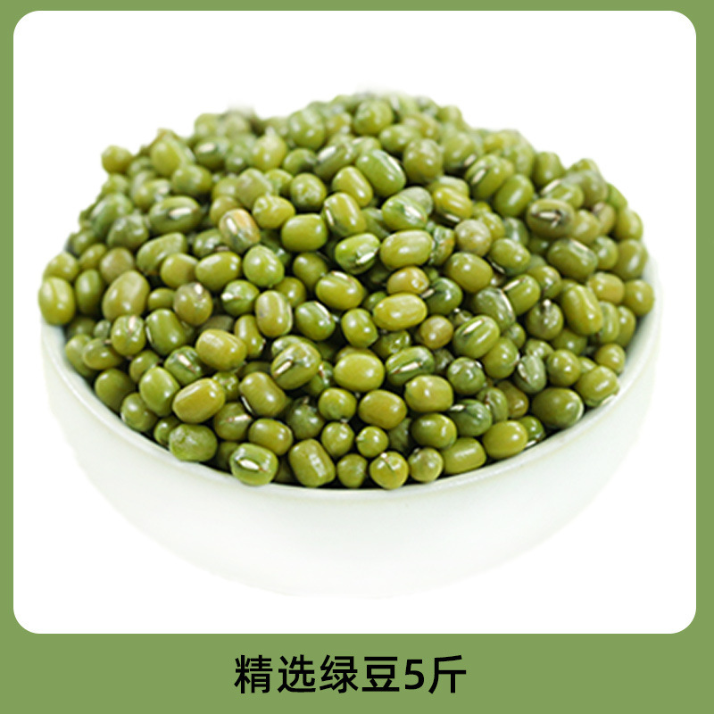 当季绿豆新货夏季绿豆汤煮粥米发豆芽专用豆子小绿豆沙冰甜品材料|undefined