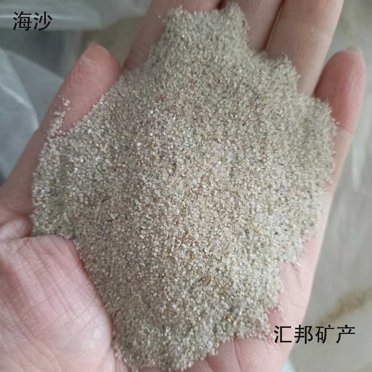 海沙