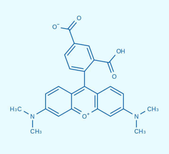 5-羧基四甲基罗丹明 CAS号 : 91809-66-4
