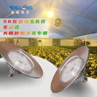 36Wֲ�����L��������ˮ�r�I�a����i�N���L�a����羳���ڌ���