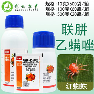 30%�����\�������������\���ٹ���t֩�뚢�x���њ��\���rș