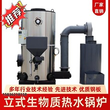 生物质颗粒热水锅炉 立式全自动燃油燃气热水锅炉 供暖洗浴节能炉