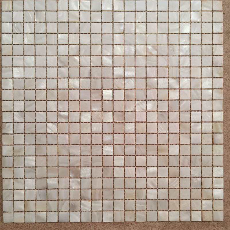 단립 15 흰조개 솔기 5개