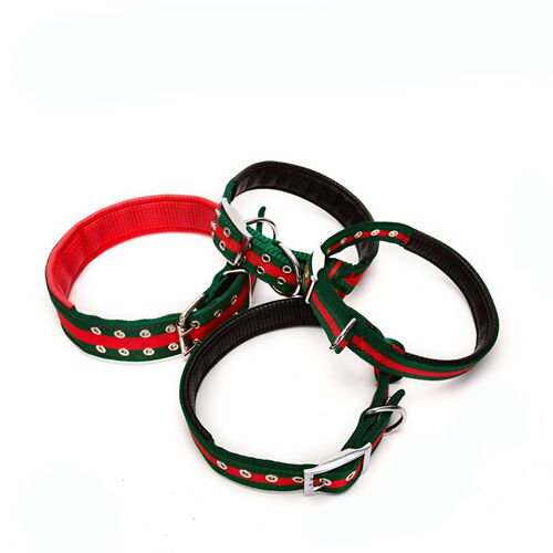 Cross-border new pet leash set for medium and large dogs one piece drop shipping pet supplies leash customization
