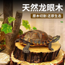��Ȼ����ľ������̨��̨��̨�����쾰�[���B������ľ��Ϣ̨��ľ
