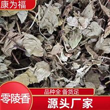 零陵香 灵香草 灵草 铃铃香 熏草 蕙草 中药材零陵香 代打粉 冷背