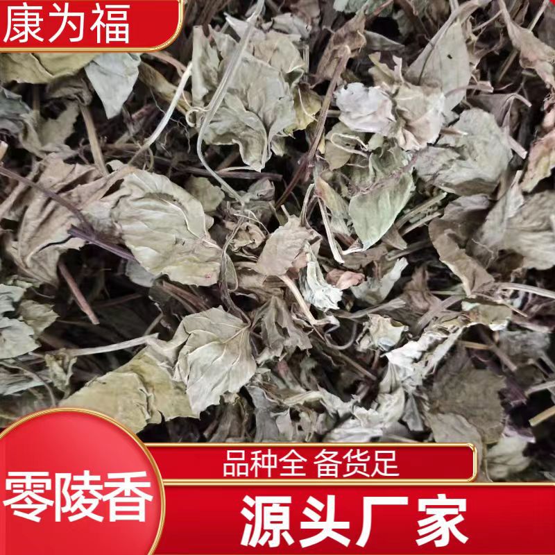 Linglingxiang Lingxiang Lingcao Linglingxiang Xuncao Huixiao Chinese Medicinal Materials Linglingxiang Substitute Powder Cold Back