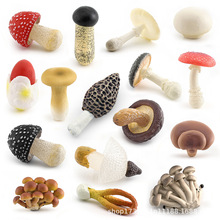 羳Ģģ㹽׶Z漧pUK[