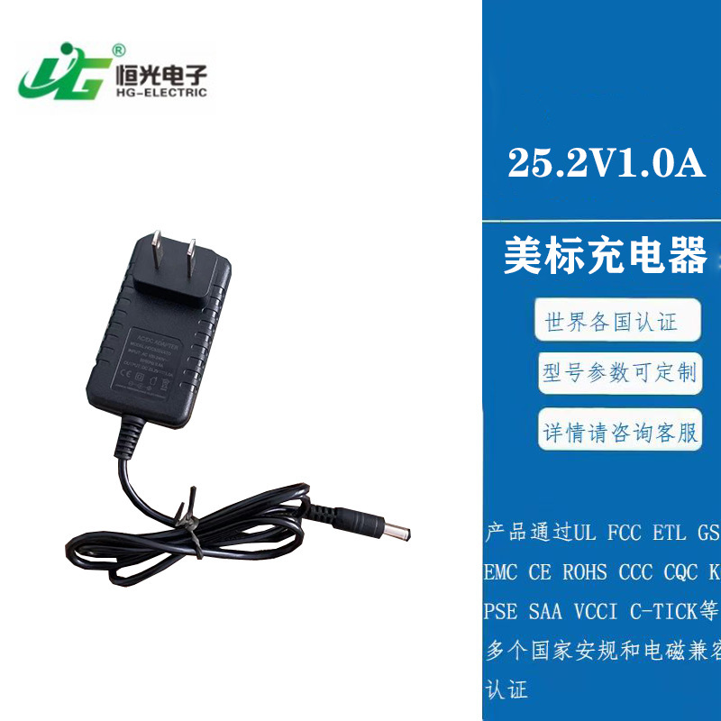 跑量款英式美式澳式欧式插墙式12V16V25V筋膜枪充电器电子监控