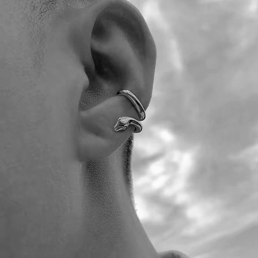 Orecchini a forma di serpente Wang Anyu Style per uomo senza clip, orecchini a forma di serpente, gioielli di nicchia di lusso di alta gamma_voghion.com