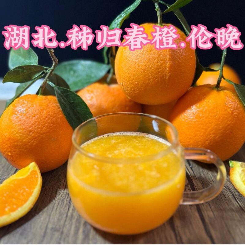 Zigui Shipped Fresh Oranges, Freshly Picked Oranges, Wholesale Thin-Skinned Juicy Spring Oranges, Imperial Oranges, Seasonal Fruits Zigui Shipped Fresh Oranges, Freshly Picked Oranges, Wholesale Thin-Skinned Juicy Spring Oranges, Imperial Oranges, Seasonal Fruits