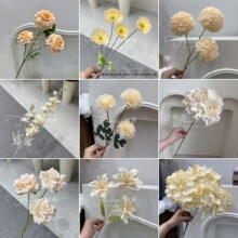 Ī�λ��@�㙉ɫϵ���滨����õ�廨���ٲ����̙����b��滨��Y