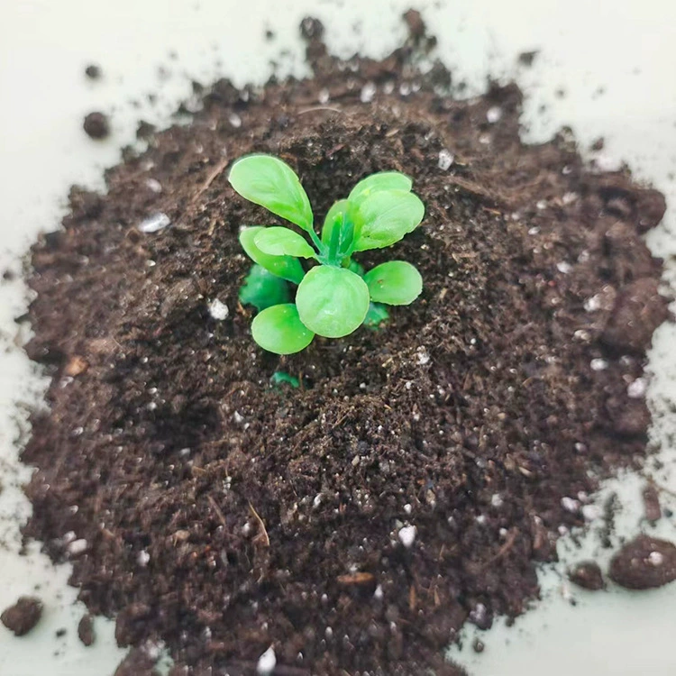 Supply nutrient soil peat moss for flowers planting orchids succulents soil nursery organic soil substrate wholesale