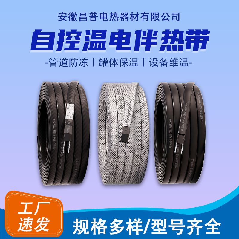 Changpu Factory Home Appliances Tropical Self limiting Temperature Constant Temperature Electric Hea