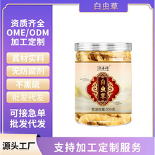 ���x��ƿ�b300g�݅���ʯ�Q ���Q �����x�ݝ��m�� ���x�ݴ��l