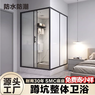 蹲坑款集成整体卫生间钢化玻璃平移门家用干湿分离蹲便洗澡淋浴房