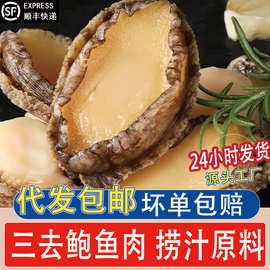 鲍鱼肉鲜活冷冻去牙去壳新鲜活鲍现剥去内脏捞汁海鲜三去小鲍鱼肉