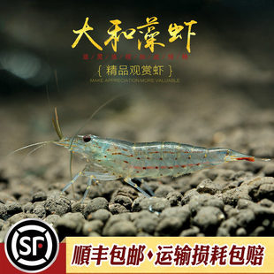 ������r������r������r̨���M�ڹ����r�^�p���r�����坍��ˮ�r