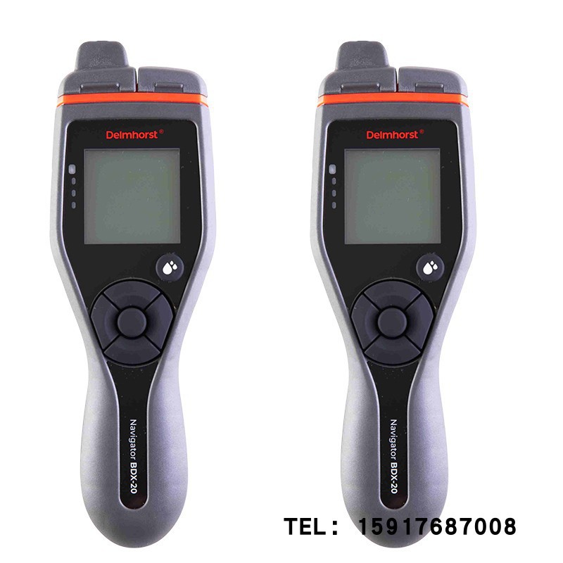美国DELMHORST木材水份仪BDX-20 BDX-30测试仪湿度计适合木工行业