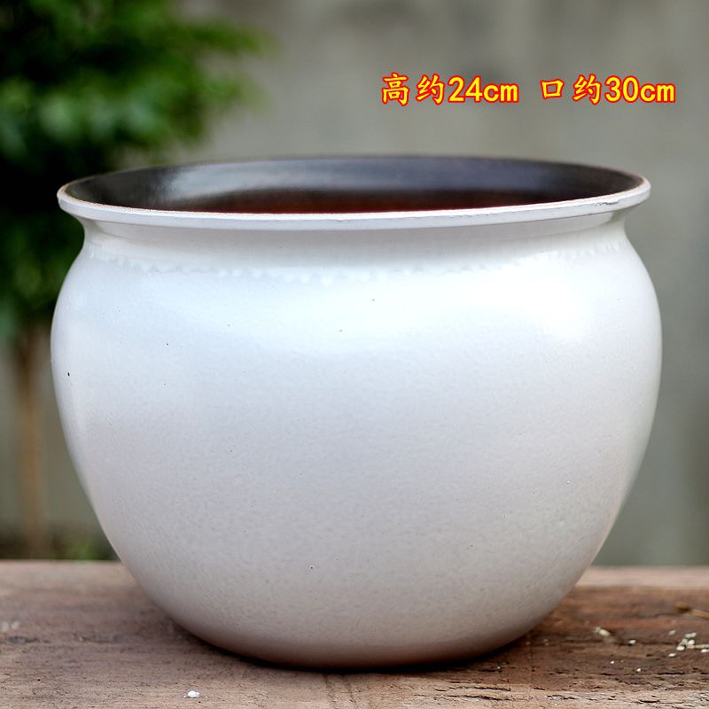 Zisha, carnosa, gran maceta de phalaenopsis, plantas verdes, paisaje, jardín, balcón, moda interior, cerámica simple, transpirable