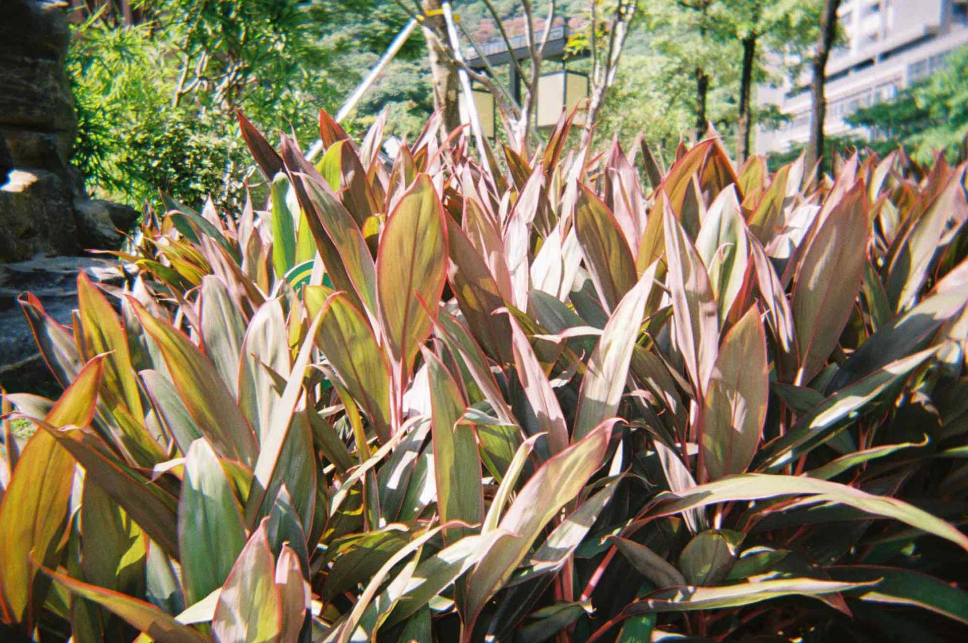 876AF5C9-C7E5-47FE-8A74-4F697E