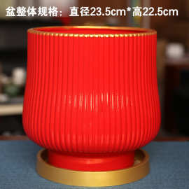 红红火火北欧轻奢风大号花盆 乔迁开业兰花蝴蝶兰专用花盆大口径