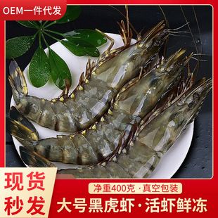 ����ڻ��r���r15-18cm�r������ڻ��r�߹��r���r������r���l