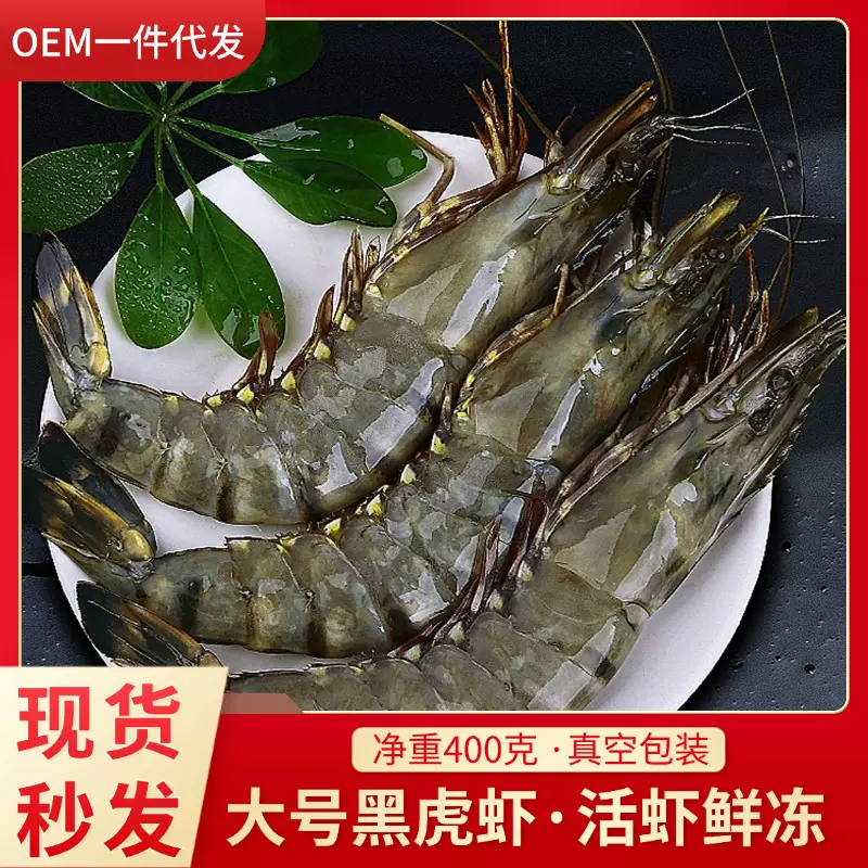 活冻黑虎虾大虾15-18cm鲜活冷冻黑虎虾斑节虾海虾冷冻海鲜批发
