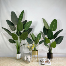 �����Gֲ���˽� ɢβ���҃�����ֲ��٘������b[���Gֲ���l