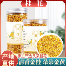 正宗桂花新鲜桂花干花干桂花茶花茶叶食用金桂新花泡水非特级商用