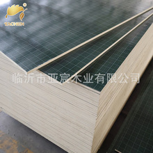 高层建筑用36尺高品质绿色PP覆膜建筑模板防水耐用