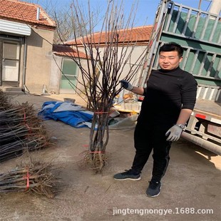 �޽���� ����ֱ�N Ʒ�Nȫ  �F�ڬF�u ؛Դ��  2�������